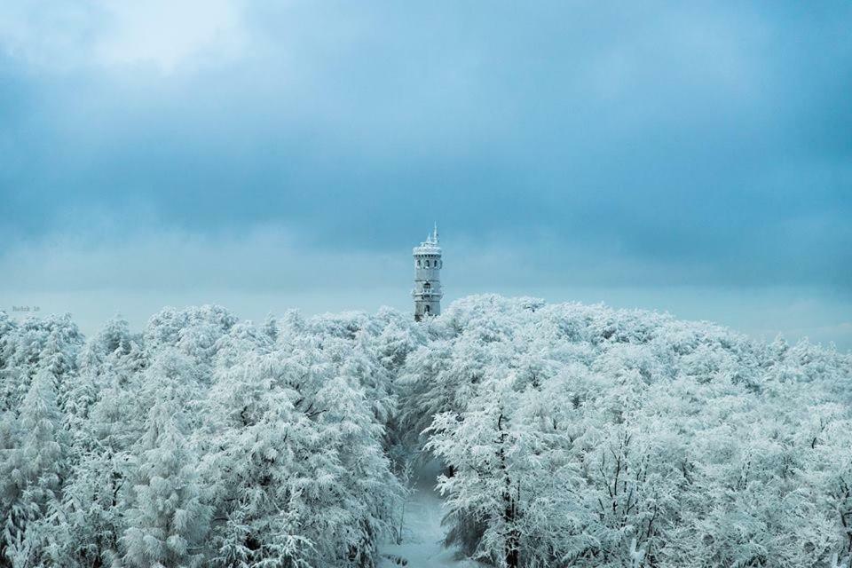 Chalupa Luzicke Hory Dolni Svetla Exterior foto